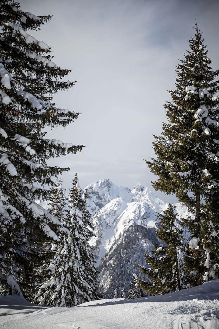 Zederberg Appartements Sankt Johann im Pongau Eksteriør billede
